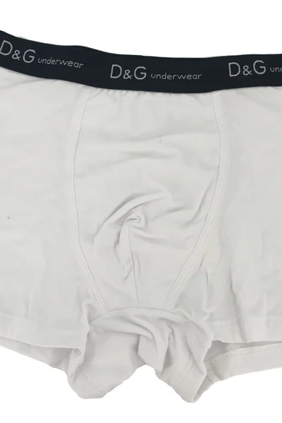 Boxerky pro muže 2V360 bílá s páskem - Dolce & Gabbana Dolce Gabbana