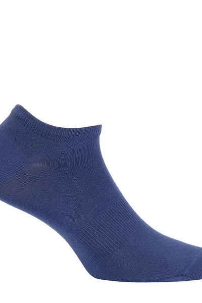 Hladké ponožky BE ACTIVE Wola