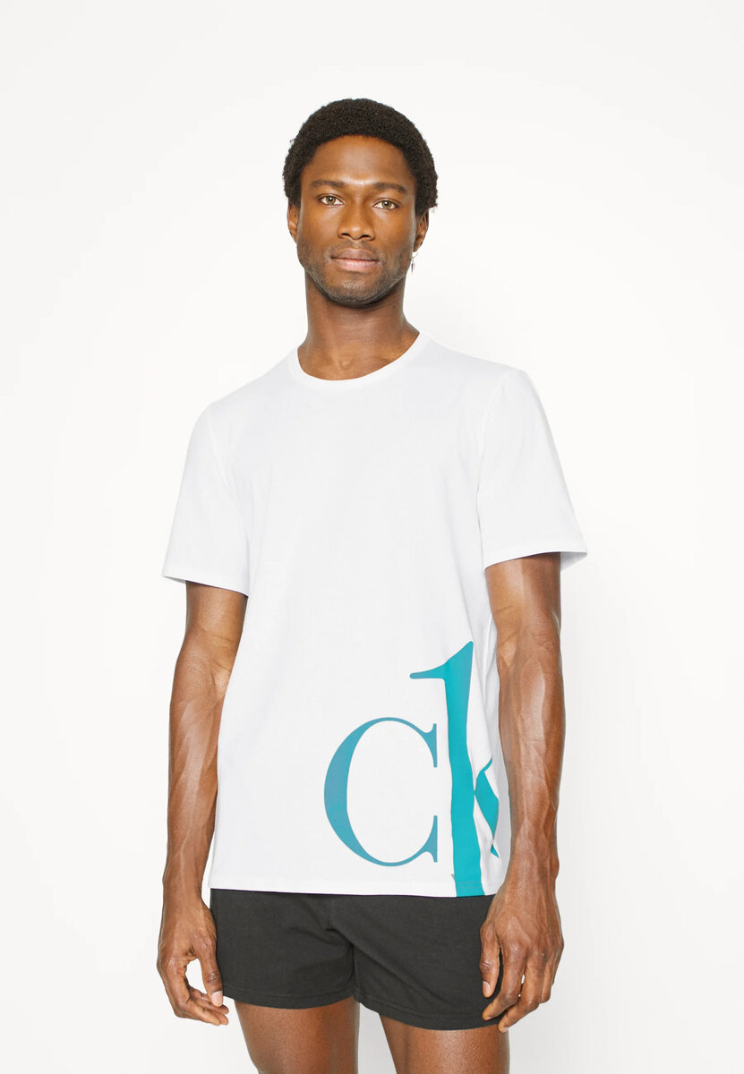 Pánské tričko 83944 - 1W8 - bílá - Calvin Klein, bílá L i10_P54844_1:2021_2:90_