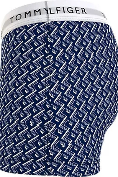 Mužský batoh 3P TRUNK PRINT od Tommy Hilfiger