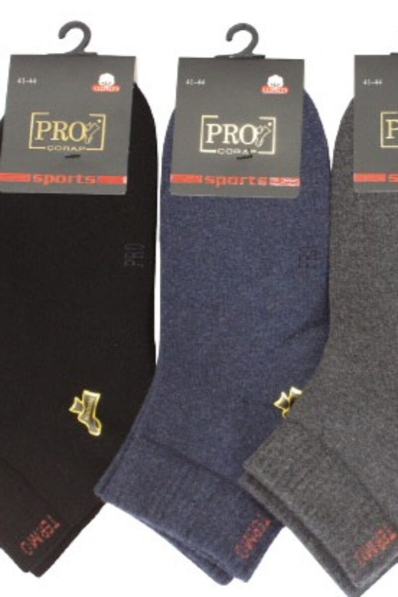 Melanžové pánské froté ponožky PRO, směs barev 41-44 i170_14004 41-44 MIX