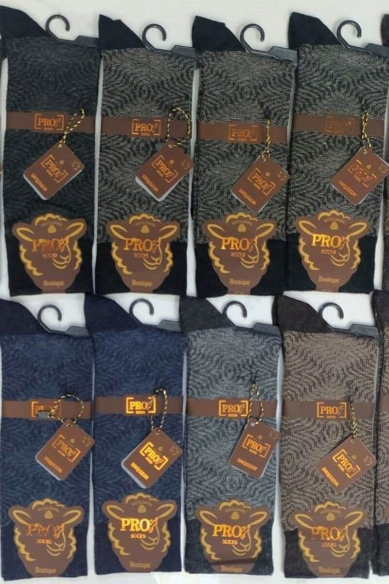 Vlněné elegantní pánské ponožky PRO, směs barev 41-44 i170_12614 41-44 MIX