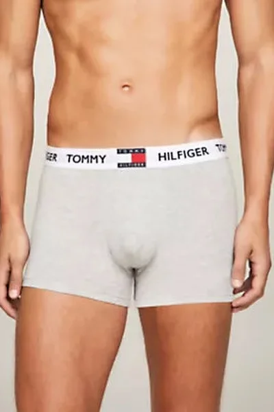 Pánské boxerky TRUNK UM0UM01810P01 - Tommy Hilfiger