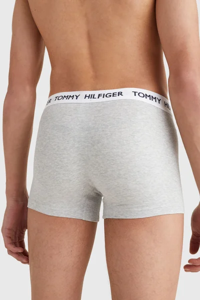 Pánské boxerky TRUNK UM0UM01810P01 - Tommy Hilfiger