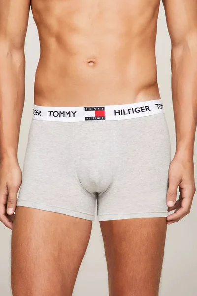 Pánské boxerky TRUNK UM0UM01810P01 - Tommy Hilfiger