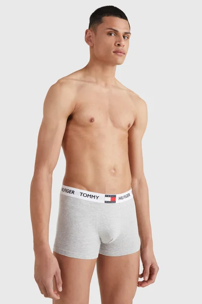 Pánské boxerky TRUNK UM0UM01810P01 - Tommy Hilfiger