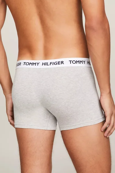 Pánské boxerky TRUNK UM0UM01810P01 - Tommy Hilfiger