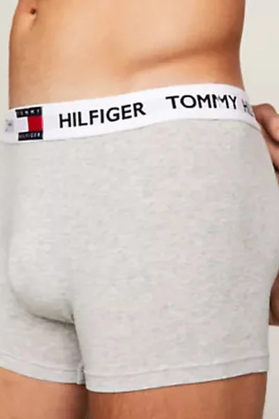 Pánské boxerky TRUNK UM0UM01810P01 - Tommy Hilfiger