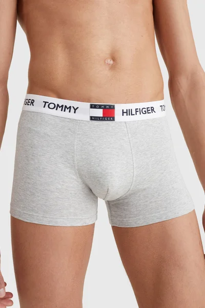 Pánské boxerky TRUNK UM0UM01810P01 - Tommy Hilfiger