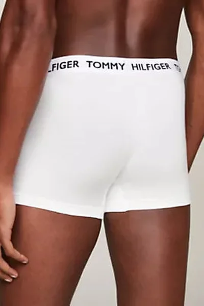 Komfortní pánské těsné prádlo - Tommy Hilfiger