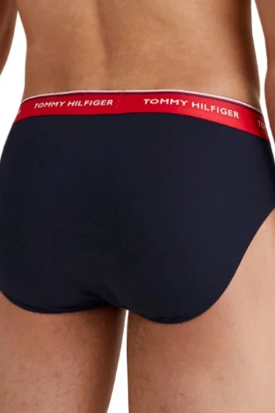 Mužské slipy Tommy Hilfiger 3P Brief M