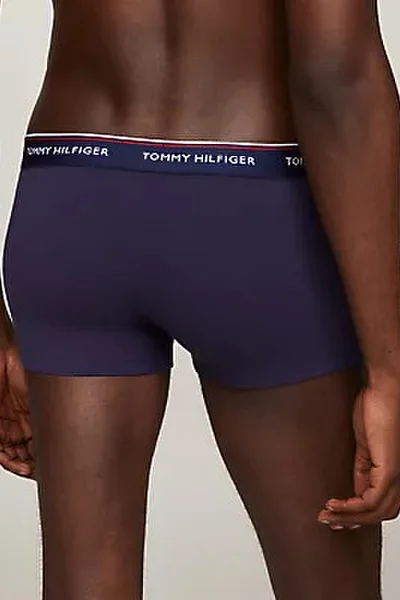 Stylový Pánský Batoh 3P LR TRUNK - Tommy Hilfiger