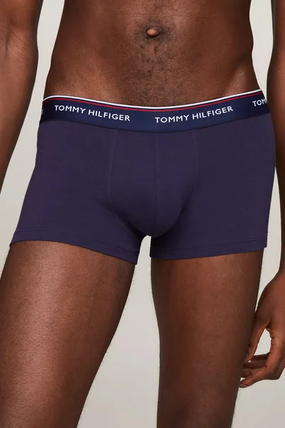 Stylový Pánský Batoh 3P LR TRUNK - Tommy Hilfiger