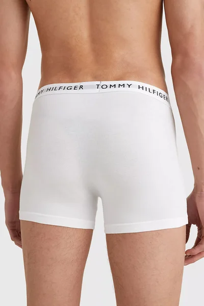 Flexibilní Pánský Batoh 3P TRUNK - Tommy Hilfiger