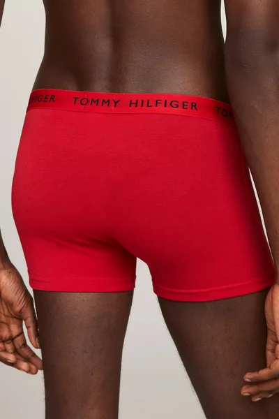 Flexibilní Pánský Batoh 3P TRUNK - Tommy Hilfiger