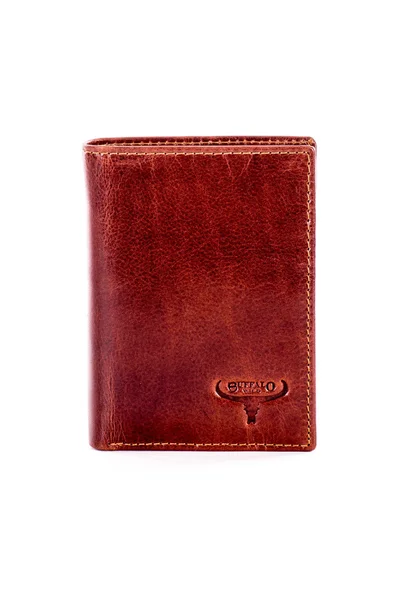 Klasická hnědá kůžená peněženka FPrice s logem