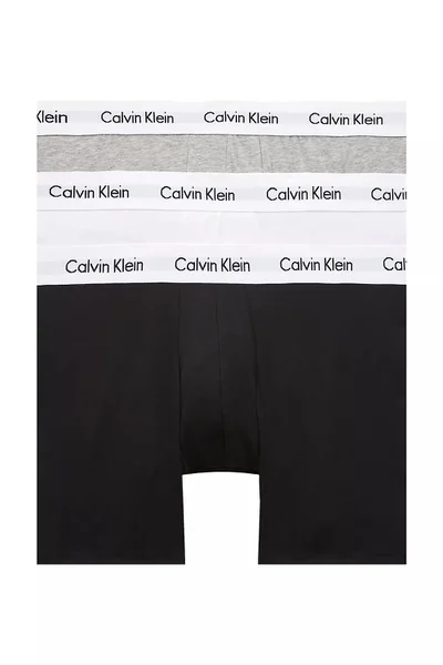 Mužské boxerky Calvin Klein (3 ks)