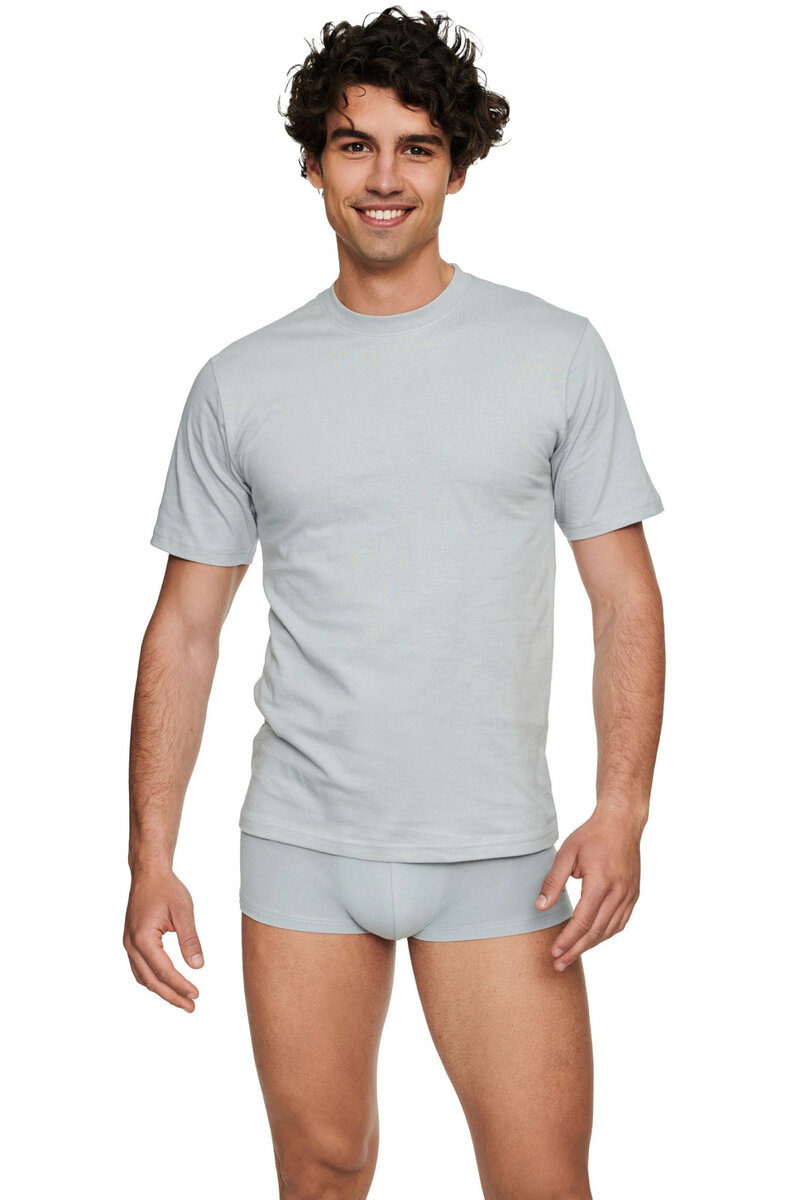 Šedé pánské tričko T-line od Hendersona, šedá XL i41_76536_2:šedá_3:XL_