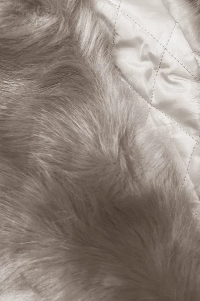 Krátká béžová bunda s kožešinovým límcem - Ann Gissy