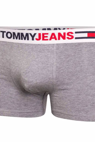 Pánské šedé slipy Tommy Hilfiger Jeans