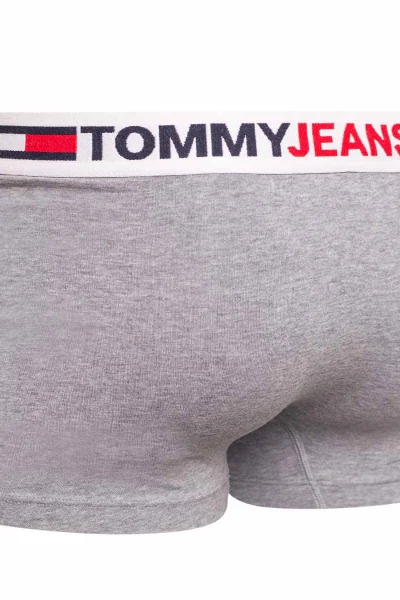 Pánské šedé slipy Tommy Hilfiger Jeans