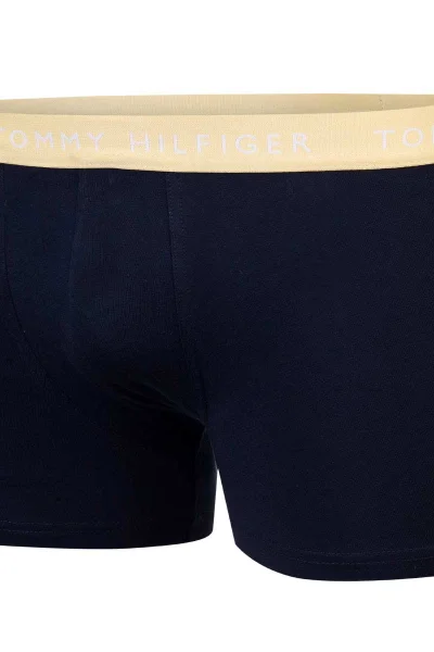 Pánské Spodky Tommy Hilfiger Námořnická Modrá