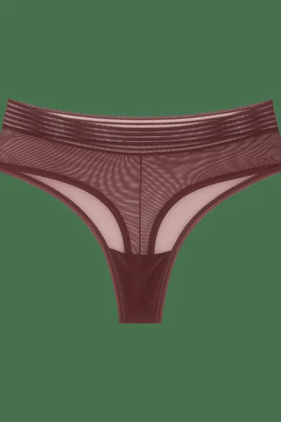 Dámská vysoká tanga Triumph Tempting Sheer - Hnědá