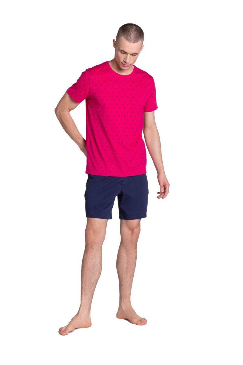 Pyžamo pro muže P5G Leaf pink - Henderson, Růžová L i41_71250_2:růžová_3:L_
