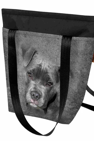 Bertoni Taška Batoh Pit Bull Šedý Unisex