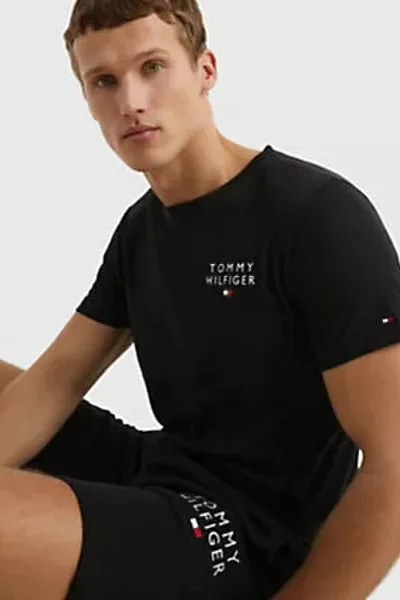 Mužské tričko ESSENTIALS - Tommy Hilfiger