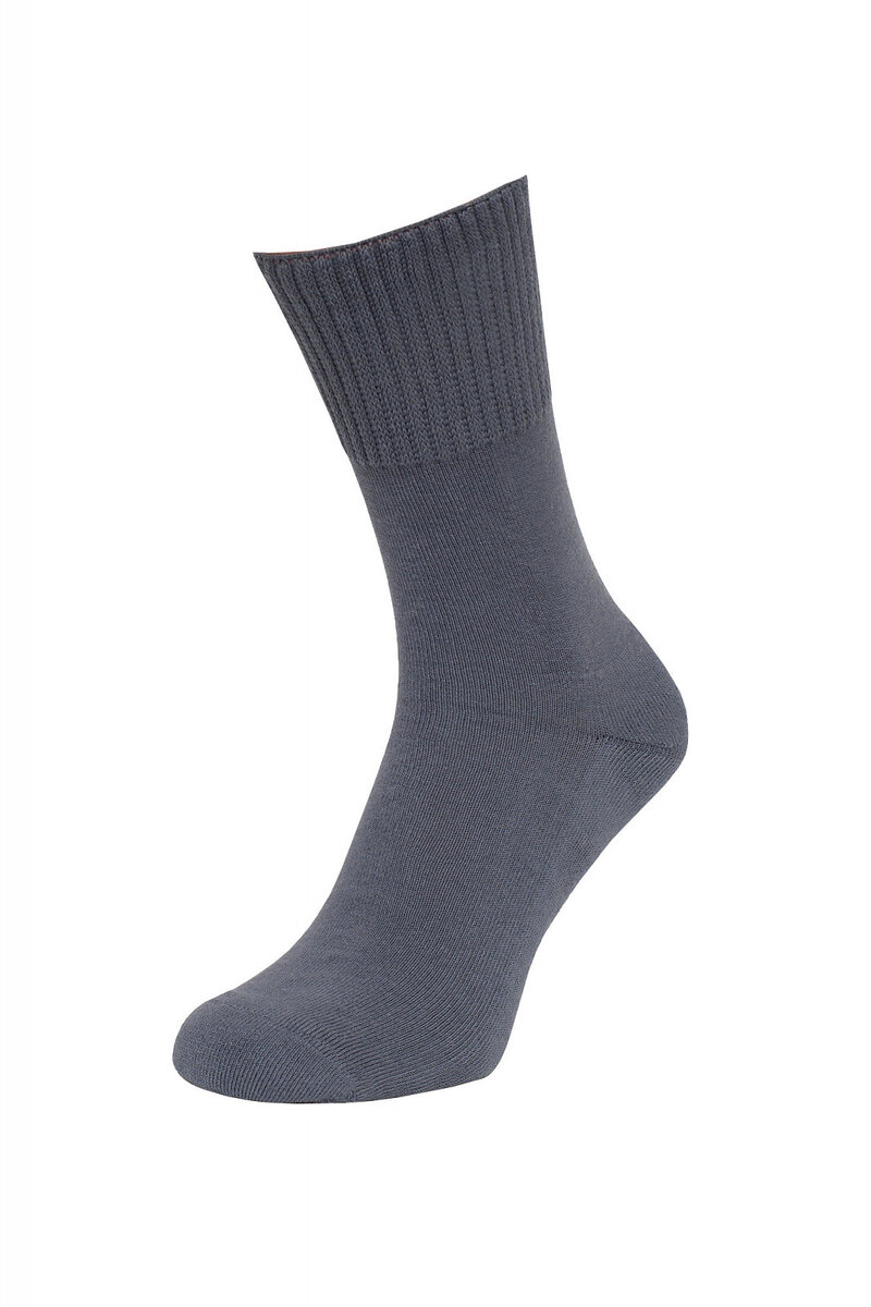 Pánské ponožky Regina Socks Purista Antybakteriální Froté, šedá 35-38 i384_53847558