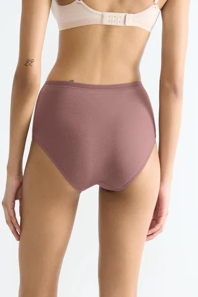 Dámské kalhotky Sloggi Highwaist BROWN