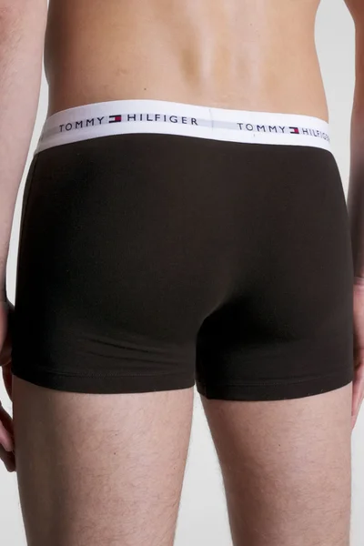 Essential Logo Waistband Trenýrky 3-Pack - Tommy Hilfiger