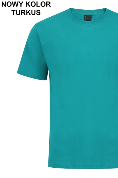 Pánské tričko ALEKSANDER 3XL-4XL