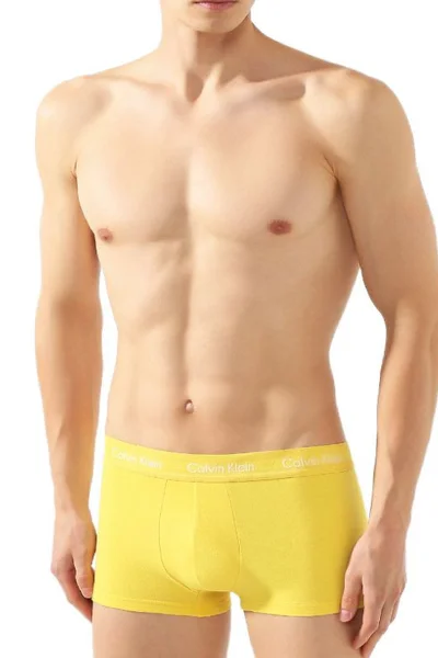 Mužské boxerky Calvin Klein Pride Trunk M K5K - 5 ks v sadě