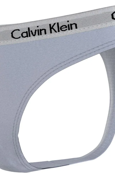 Klasické dámské kalhotky Calvin Klein - Podzim 2023