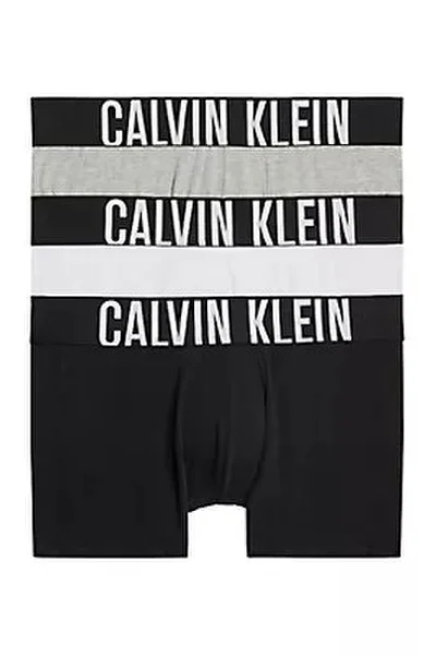 Mužské boxerky EKO 3 balení - Calvin Klein