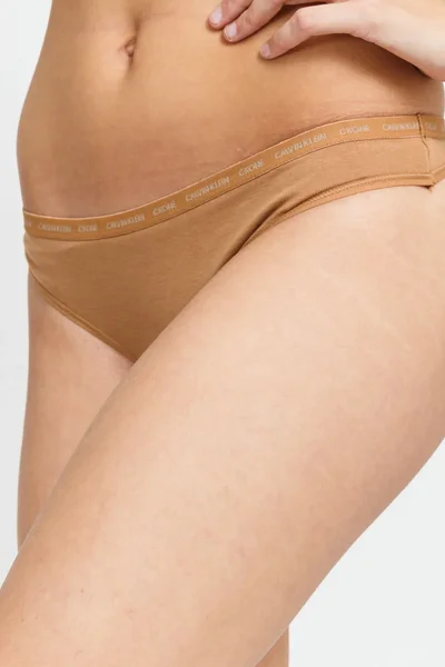 Dámské tanga 2pack 587Y - W5K - Hnědá - Calvin Klein