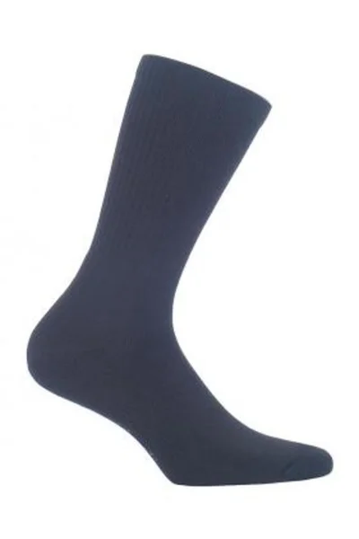 Pánské hladké ponožky FROTTE AG+ Wola