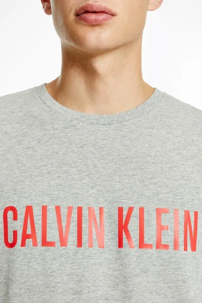 Pánská Mikina Calvin Klein Šedá