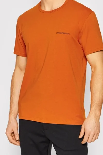 Pánské triko - 79NX24 OG43 8531 - oranžovátmmodrá - Emporio Armani