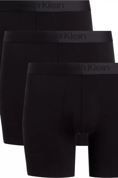 Pánské spodní prádlo BOXER BRIEF 3PK  Calvin Klein (3 ks)