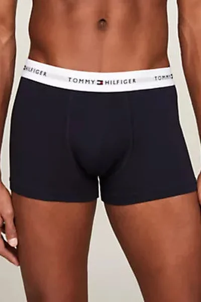 Mužský batoh 3P TRUNK PRINT - Exkluzivní kolekce Tommy Hilfiger