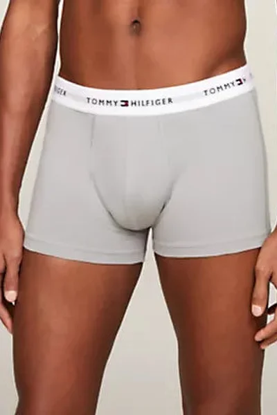 Mužský batoh 3P TRUNK PRINT - Exkluzivní kolekce Tommy Hilfiger