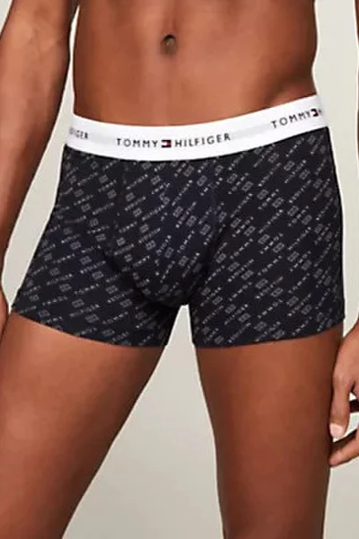 Mužský batoh 3P TRUNK PRINT - Exkluzivní kolekce Tommy Hilfiger