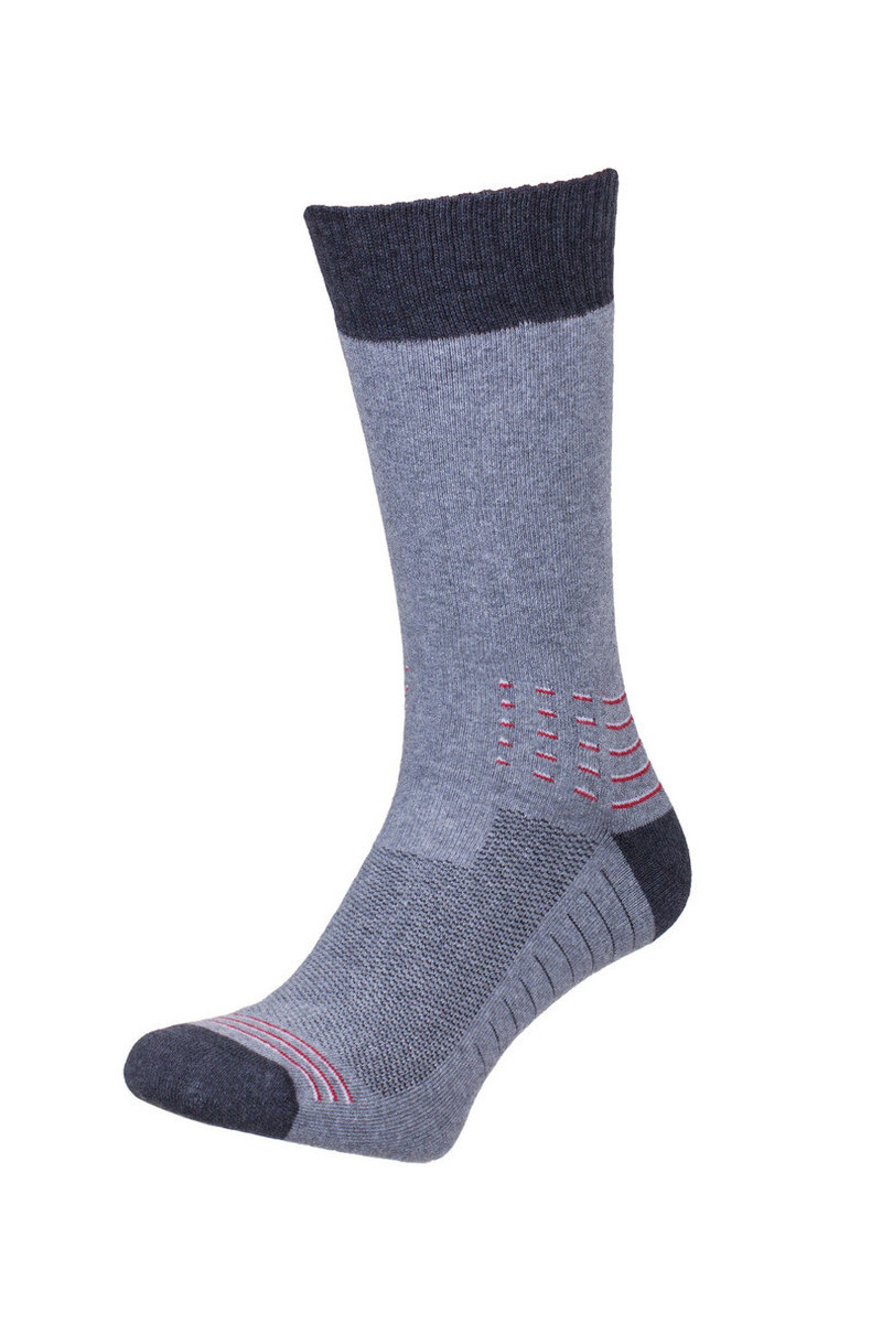 Pánské ponožky Thermo-silver Milena, směs barev MIXED SIZE i170_10-005-0590