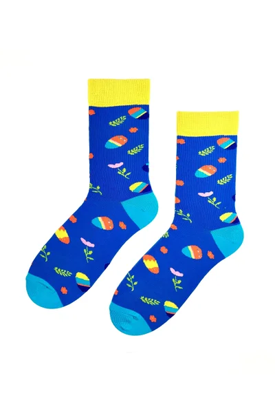 Pánské ponožky Regina Socks R7V15 Avangarda Slepice