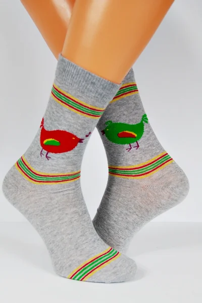 Pánské ponožky Regina Socks R7V15 Avangarda Slepice