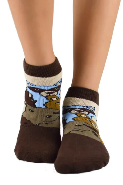 Chlapecké ponožky Dino Frotte Mix