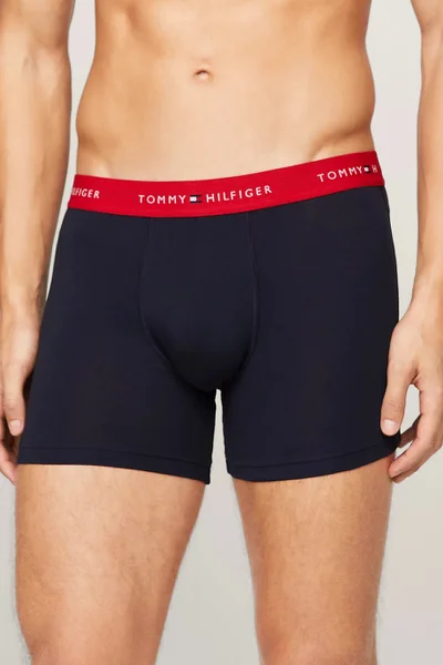 Pánské boxerky 3P BOXER BRIEF WB  Tommy Hilfiger